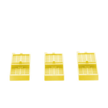 Yellow Type 6 Embedding Cassettes