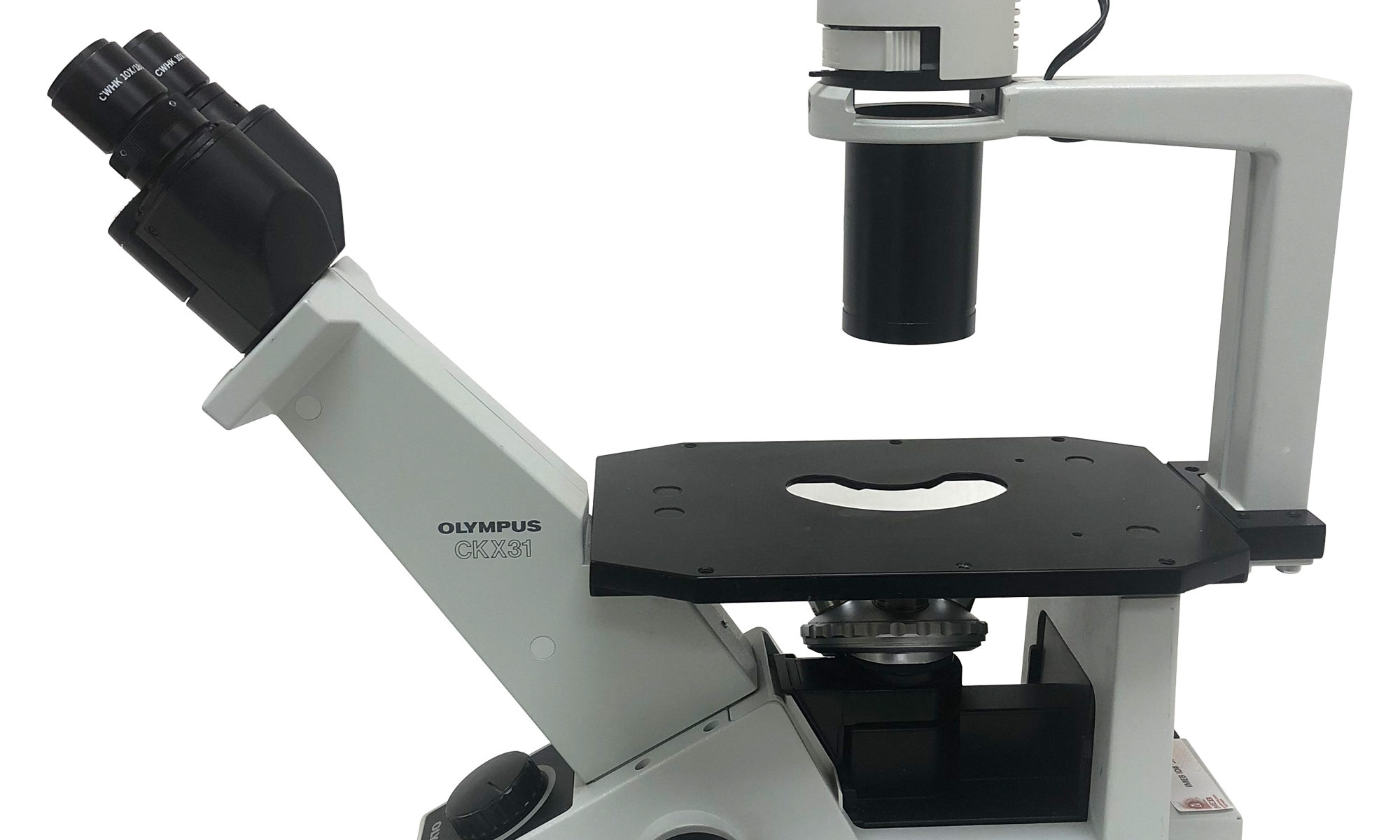 Olympus CKX31 binocular microscope