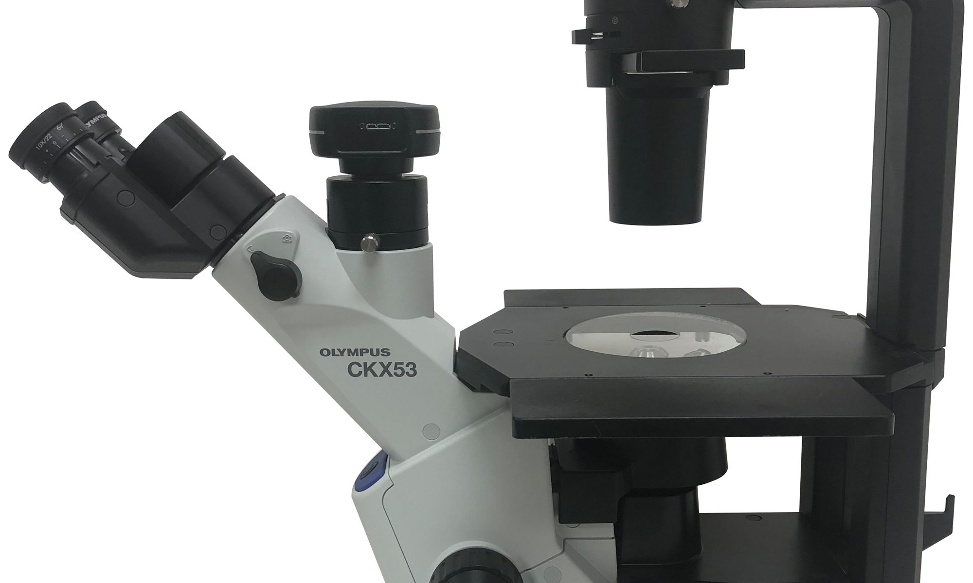 Olympus CKX53 trinocular microscope