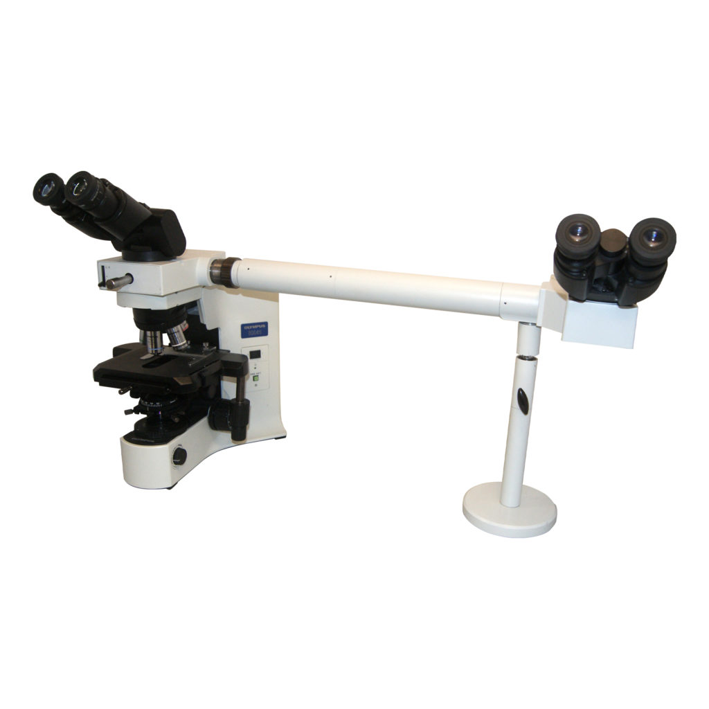 Olympus BX41 Microscope Dual Side by Side (Refurbished) - IMEB Inc.