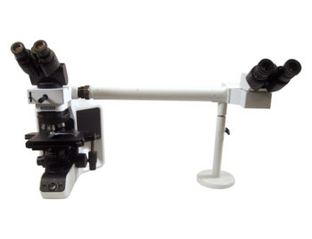 BX43 Dual Side by Side microscope