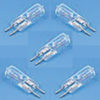 12V 100W Bi-Pin Halogen 5-Pack